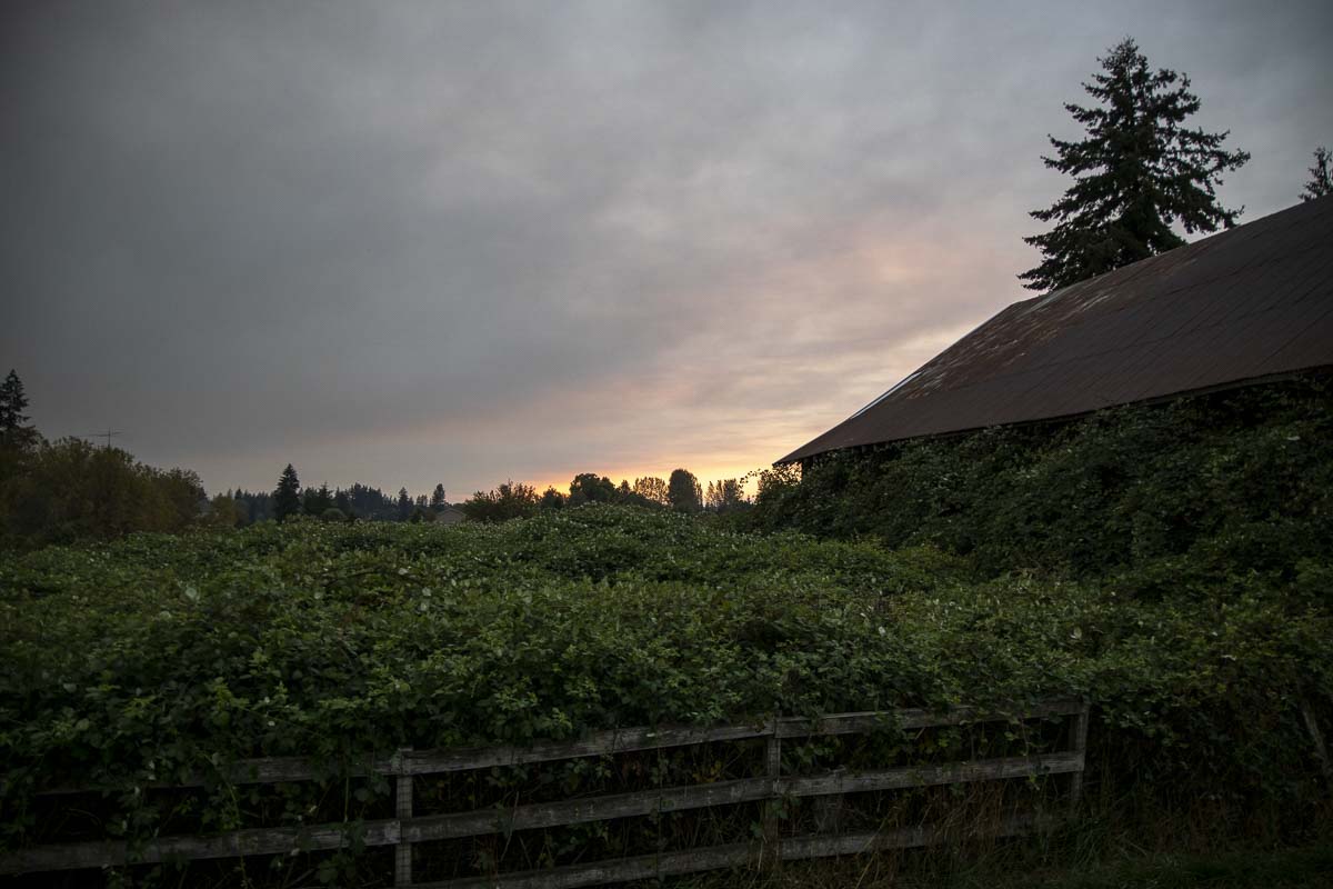 Smoke from wildfires in Oregon made for a red sunset in Battle Ground on Wednesday. Photo by Chris Brown