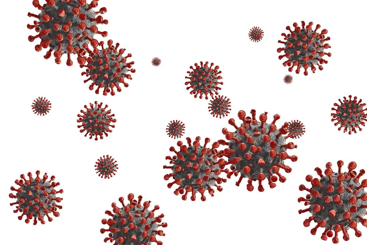 A graphic representation of the SARS-CoV-2 virus which causes COVID-19. Image source: Centers for Disease Control and Prevention