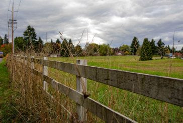 Compromise reached in name of park donated by Ed and Dollie Lynch