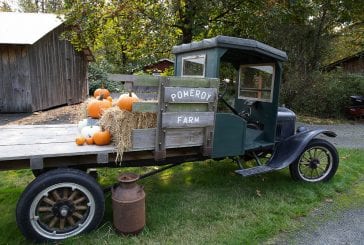 Pomeroy Farm’s Pumpkin Lane open this month