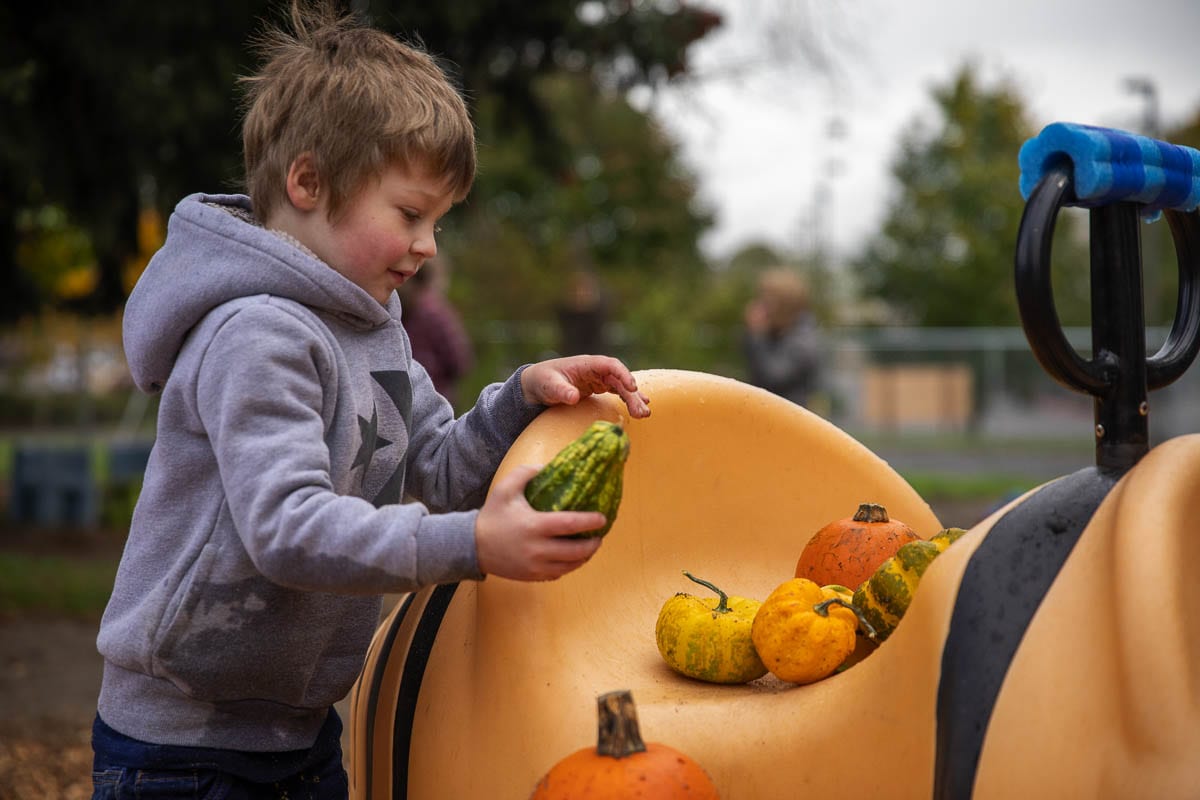 Another student at St. Andrew organizes gourds during October, while the school does fully outdoor education during COVID-19. Photo by Jacob Granneman