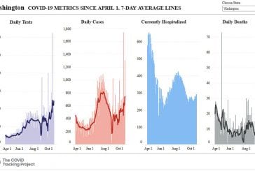 Studies show COVID-19 mortality falling as cases rise