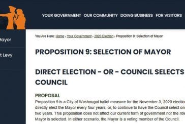 Two ballot measures before Washougal voters