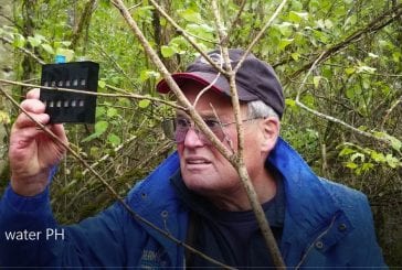 Washougal botanist discusses Lacamas Lake water quality issues