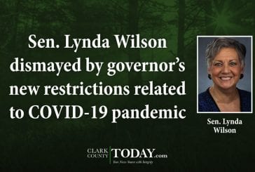 Sen. Lynda Wilson dismayed by governor’s new restrictions related to COVID-19 pandemic