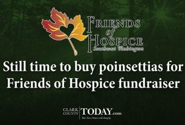 Still time to buy poinsettias for Friends of Hospice fundraiser