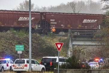 Unidentified female killed in collision with train near Woodland