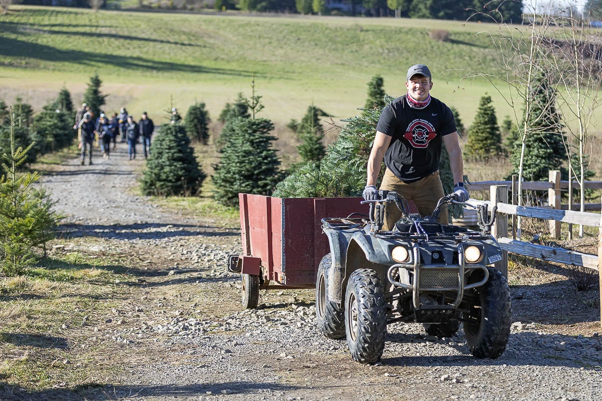 Tyler Flanagan drives an ATV hauling trees at his father’s Christmas tree farm in Ridgefield. Photo by Mike Schultz