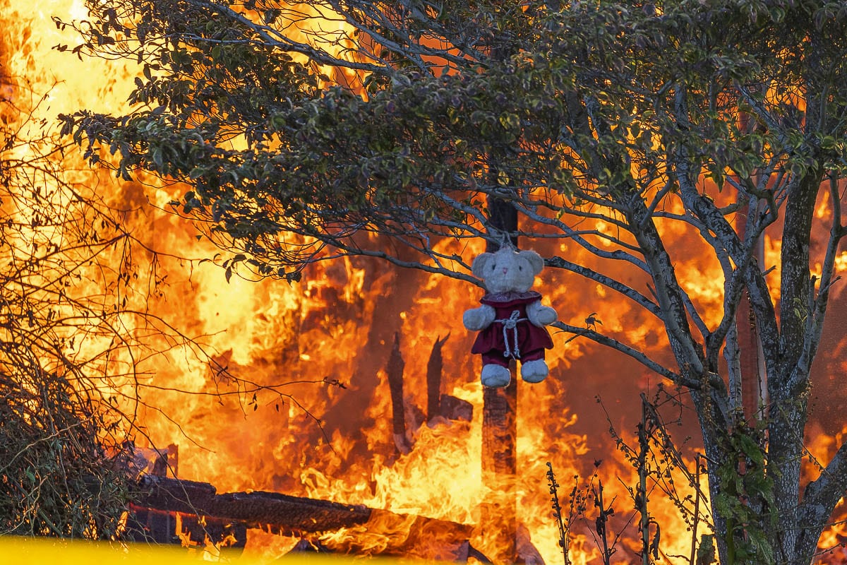 Photo by Mike Schultz