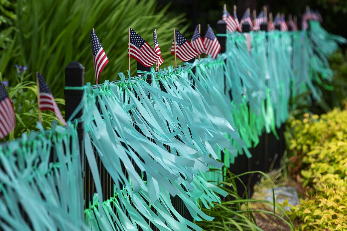 Photo by Mike Schultz