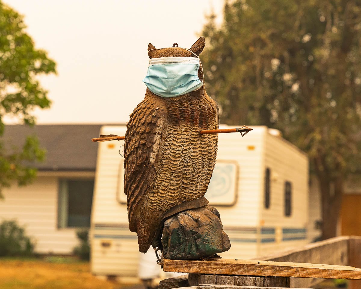 Photo by Mike Schultz