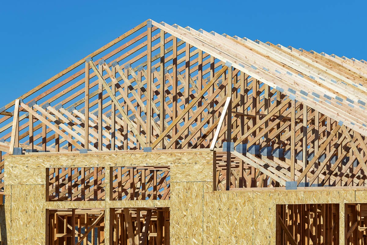 Photo by Mike Schultz