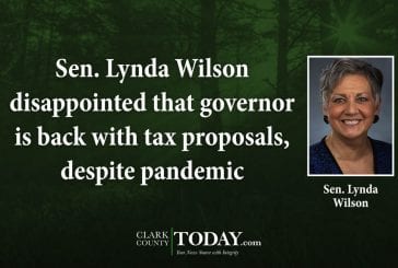 Sen. Lynda Wilson disappointed that governor is back with tax proposals, despite pandemic