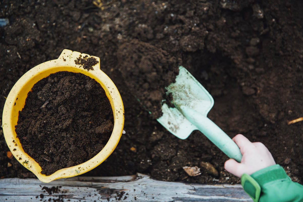 Composting can be accomplished in many ways from a worm bin to the lasagna sheet method. Photo courtesy of Unsplash.com