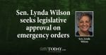 Sen. Lynda Wilson recently offered a statement on legislation she pre-filed requiring all gubernatorial emergency orders to be approved by the legislature after 30 days.