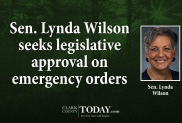 Sen. Lynda Wilson seeks legislative approval on emergency orders