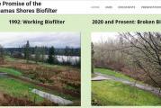 Lacamas Shores biofilter polluting Lacamas Lake