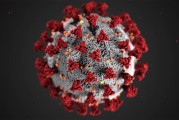 UK variant of COVID-19 virus found in Clark County