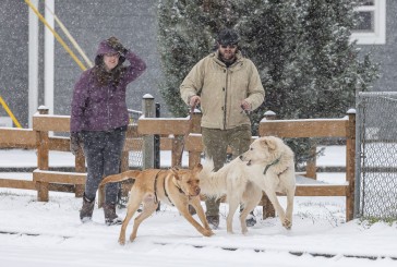 PHOTOS: Friday snow in Clark County