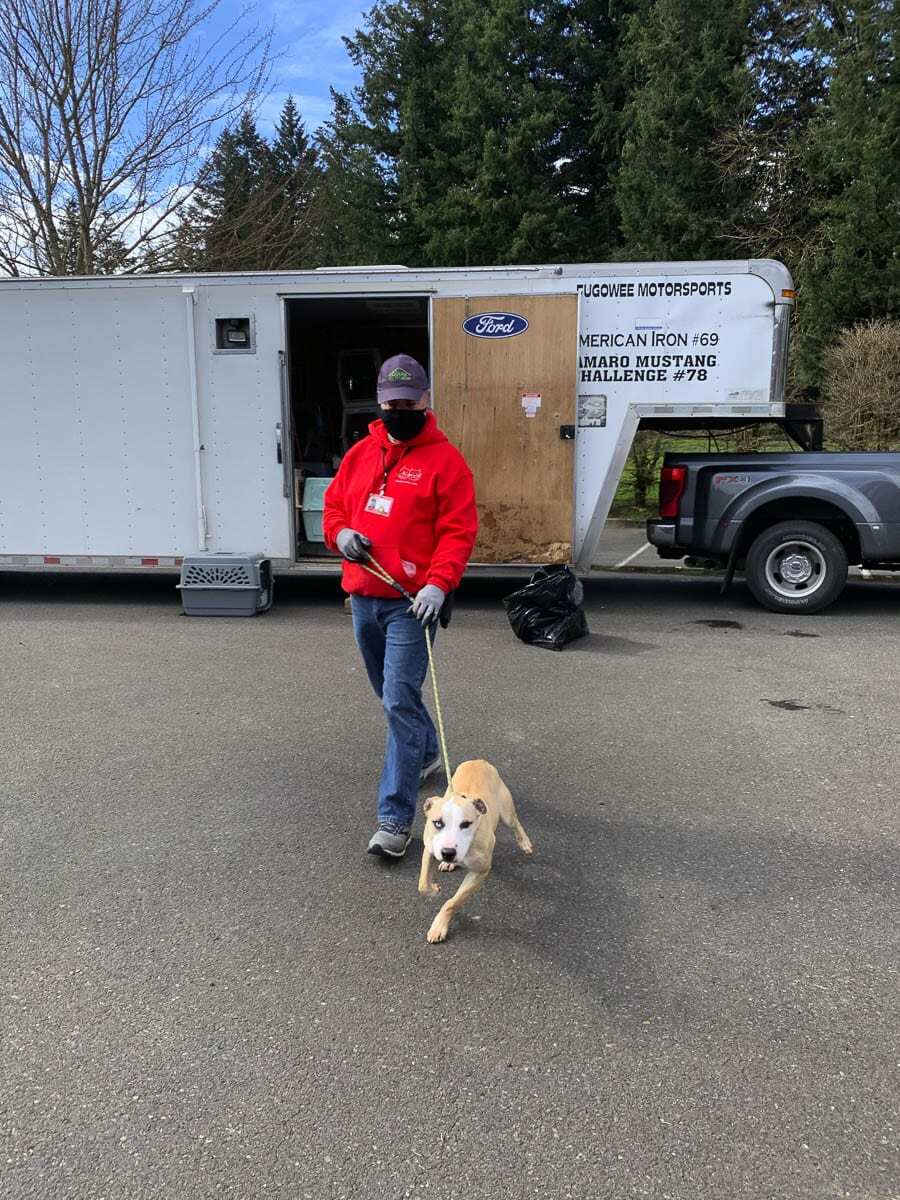 In the aftermath of recent storms, Texas animal shelters are seeking to repair damages and resume crucial operations. Photo courtesy of Humane Society for Southwest Washington