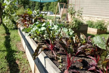 Downtown Washougal to celebrate community garden ribbon cutting ceremony in-person and virtually