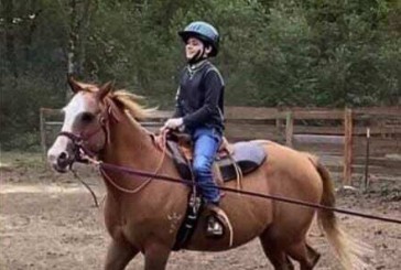 Healing Winds Therapeutic Riding Center is raising funds for ‘Sadie’