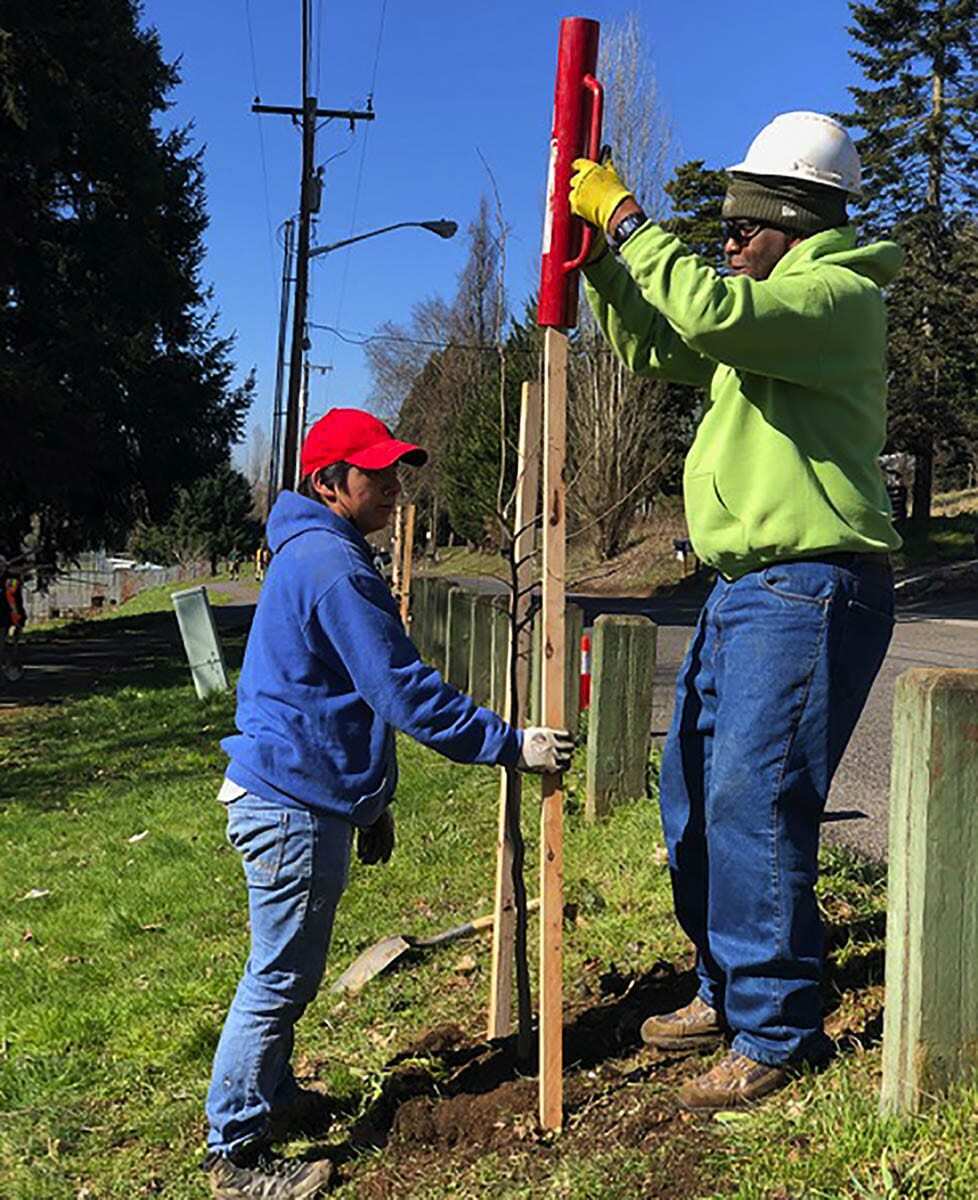 During Arbor Day, Vancouver’s Urban Forestry Commission will present the annual Gordon and Sylvia MacWilliams Evergreen Award (Mac Award) to local youth empowerment group, the Urban Youth Program, led by Johnie Tucker. Photo courtesy of city of Vancouver