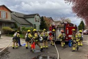 Firefighters save cat, kittens from house fire in Felida