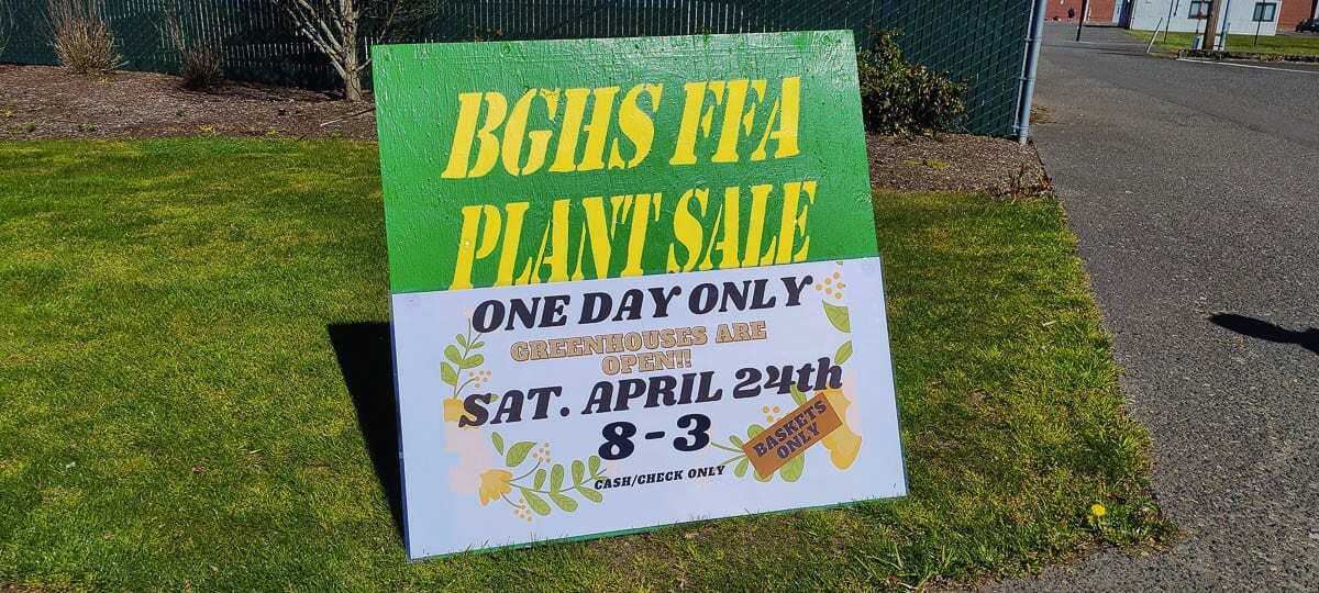 A variety of annual and perennial bedding and flowering plants, as well as vegetable starts and hanging baskets grown in Battle Ground Public Schools’ greenhouses by students and staff, will be available for purchase at upcoming public sales beginning Saturday. Photo courtesy of Battle Ground School District