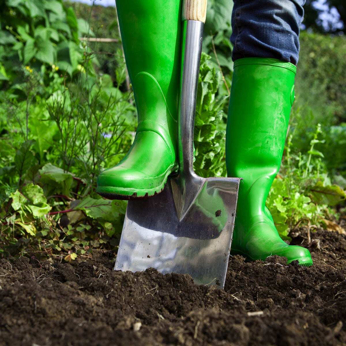 If you're planning a spring planting or an outdoor project that involves digging, call 8-1-1 at least two business days ahead to have underground utility lines located. Photo courtesy of NW Natural