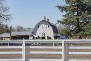 County manager seeks volunteers for rural equestrian facilities work group
