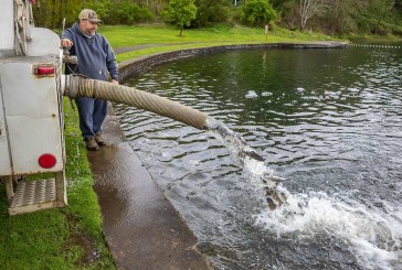 Trout fishing season kicks off April 24 as hundreds of lowland lakes open, trout derby gets underway