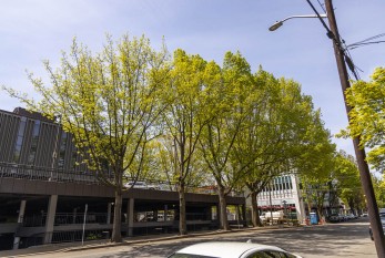 Coming this summer: A new and improved Mill Plain Boulevard in downtown Vancouver
