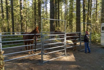 VIDEO: Rock Creek Horse Camp gets an upgrade with the help of loving volunteers