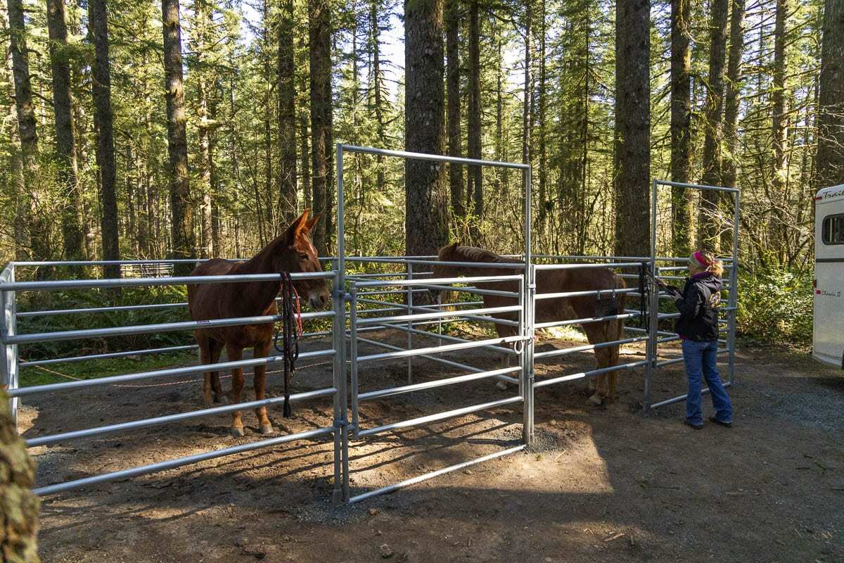 Volunteers replaced each and every corral with new steel enclosures. Photo by Jacob Granneman