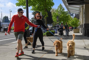 Walk/Run for the Animals engages community to support dogs and cats
