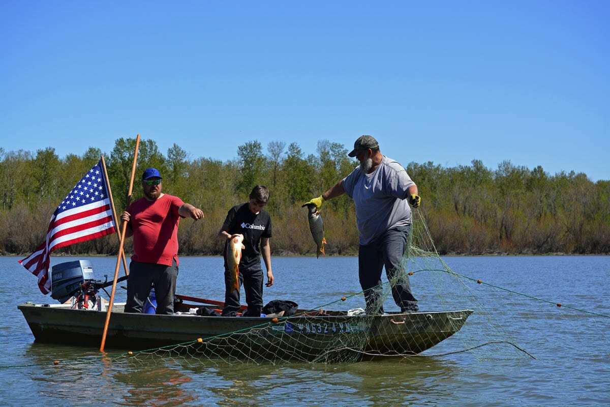 Anton Reutov, his son Conan and Arty Kuzmin remove invasive carp from Vancouver Lake. Reutov runs a commercial fishing business in Spokane. He and his crew will be back at the lake in May. Photo by Dan Trujillo.