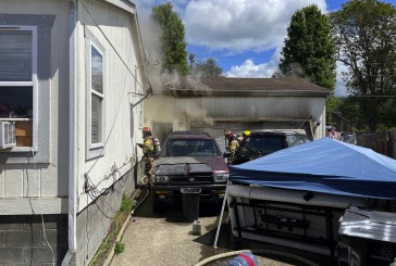 Garage damaged, pet dies in Woodland fire