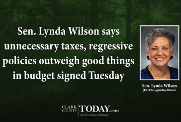 Sen. Lynda Wilson says unnecessary taxes, regressive policies outweigh good things in budget signed Tuesday