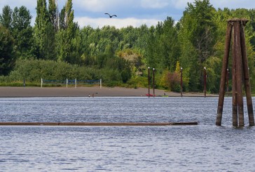 Public Health lifts advisory at Vancouver Lake after algae bloom dissipates and water quality improves