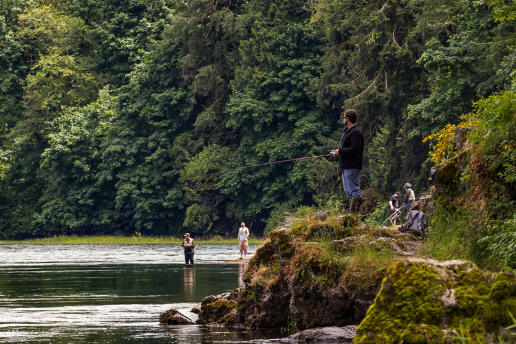 Residents and non-residents can fish or gather shellfish across the state on those days, in any waters open to fishing, all without a license. This file photo shows anglers on the North Fork of the Lewis River. Photo by Mike Schultz