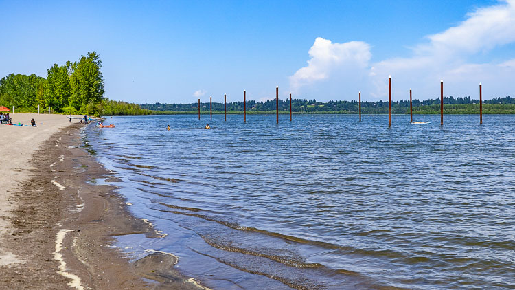 Clark County Public Health has been monitoring cyanobacteria blooms at Vancouver Lake since June 1 and will continue to monitor the lake throughout the summer. Photo by Mike Schultz