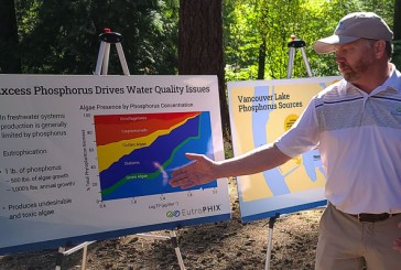 Friends of Vancouver Lake looking for ways to improve water quality