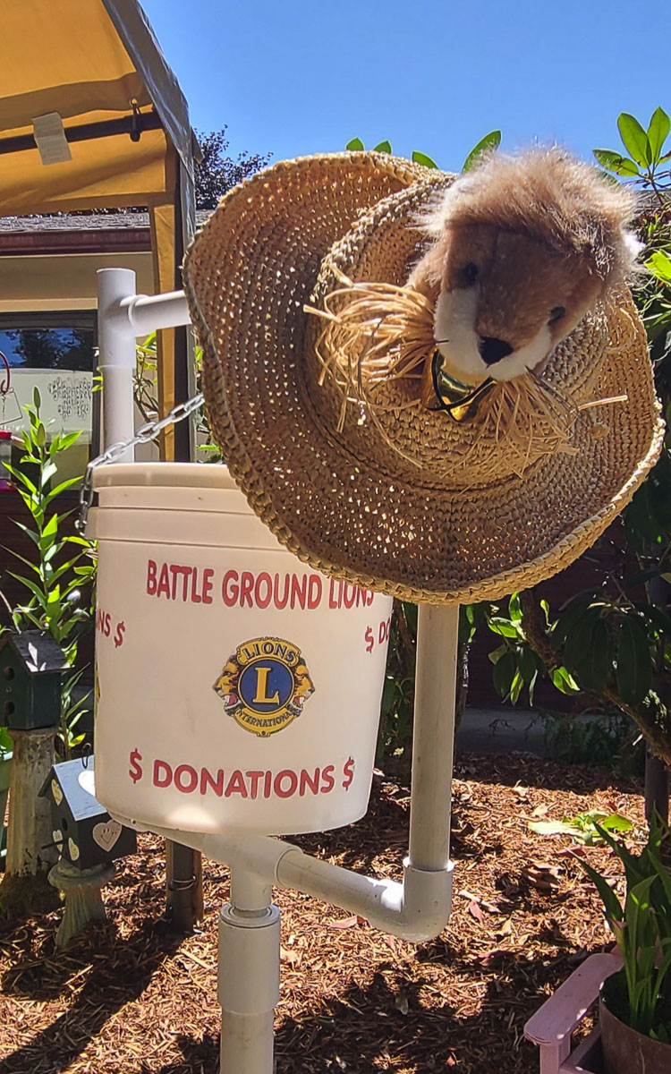 A donation bucket plus a stuffed lion were on display Saturday when members of the Battle Ground Lions Club met to celebrate 50 years of community service. Photo by Paul Valencia