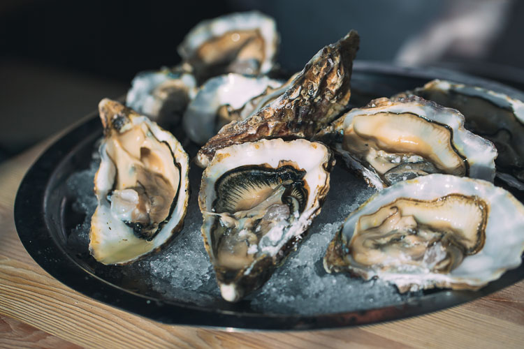 Vibrio bacteria can grow quickly, increasing risk of illness among people who eat raw or undercooked oysters.