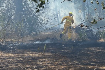 Stubborn brush fire challenges firefighters near Salmon Creek