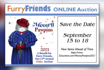 Area cat rescue to host online auction