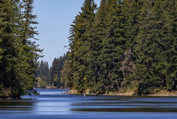 Public Health issues warning for Lacamas, Round lakes due to elevated toxin levels