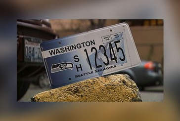 License plate shortage may require licensing department, sub agents to issue paper plates