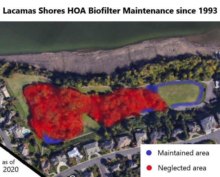 The failed biofilter of the Lacamas Shores subdivision is the only known source of pollution being added to Lacamas Lake water. Resident Steve Bang has notified both the homeowners association and the city of Camas that he intends to file a Clean Water Act lawsuit in 60 days. Graphic from Marie Callerame
